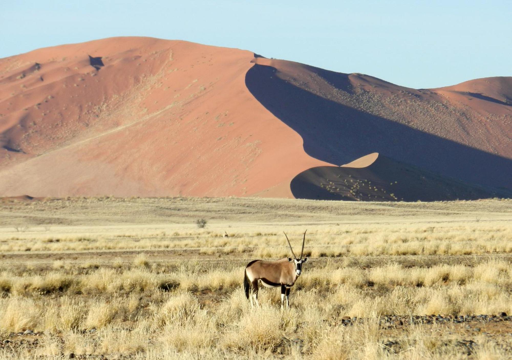 Sossusvlei Lodge Sesriem Luaran gambar